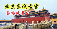 操逼美女诱惑中国北京-东城古宫旅游风景区